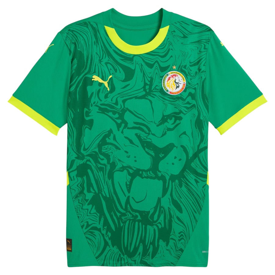 Maillot Kit Enfant Senegal Exterieur 2024 2025 Vert | Foot Fan