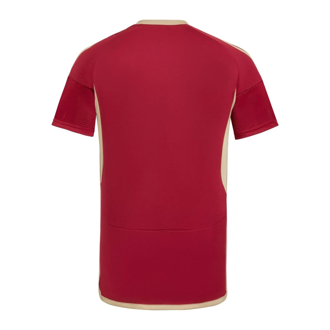 Maillot-Venezuela-Domicile-2024-2025-2