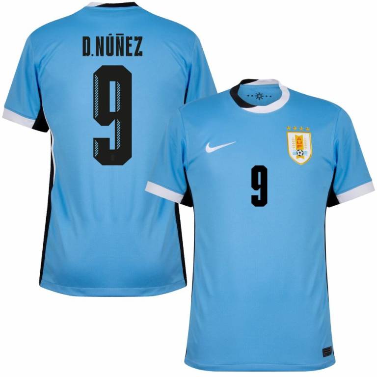 Maillot Uruguay Domicile Homme 2025 2026 | Foot Fan
