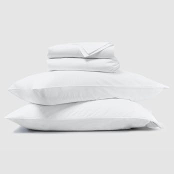 2 Saatva Latex Pillows (High Loft)